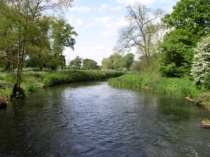Blackwater river by Swallowfield