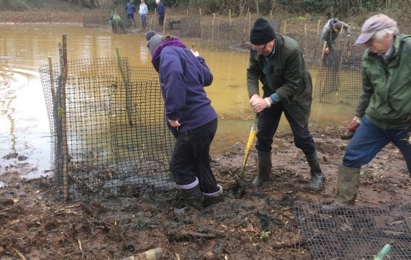 A working group in action