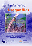 Blackwater Valley dragonflies