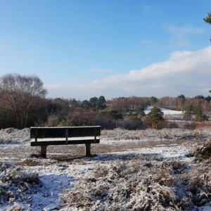 Christmas pudding walk December 2019