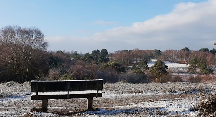 Christmas pudding walk December 2019